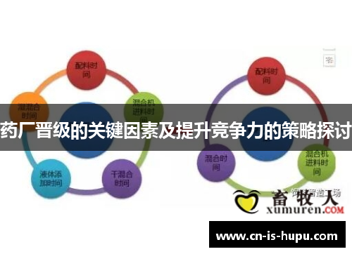药厂晋级的关键因素及提升竞争力的策略探讨